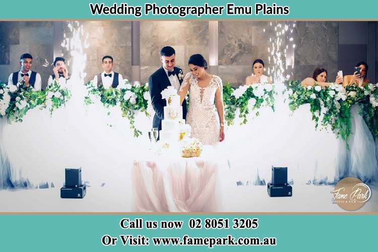 Photo of the Bride and Groom taking the first slice of their wedding cake Freemans Reach NSW 2756