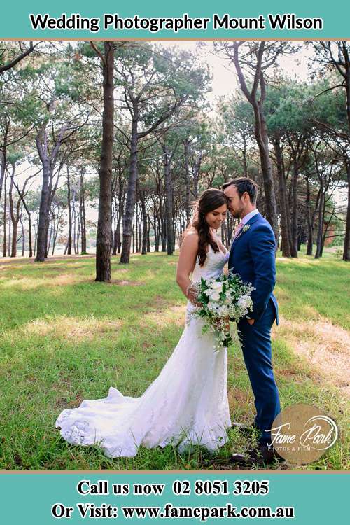 Photo of the Bride and the Groom at the yard Mount Wilson